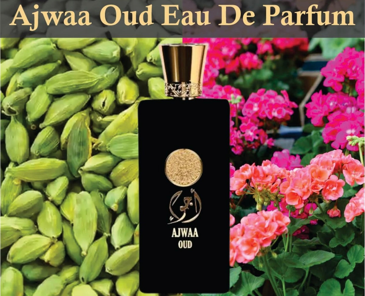 Oud Perfume | Ajwa Oud Edp Unisex Eau de Parfum 100ml | Floral,Oud and Cedarwood Fragrance