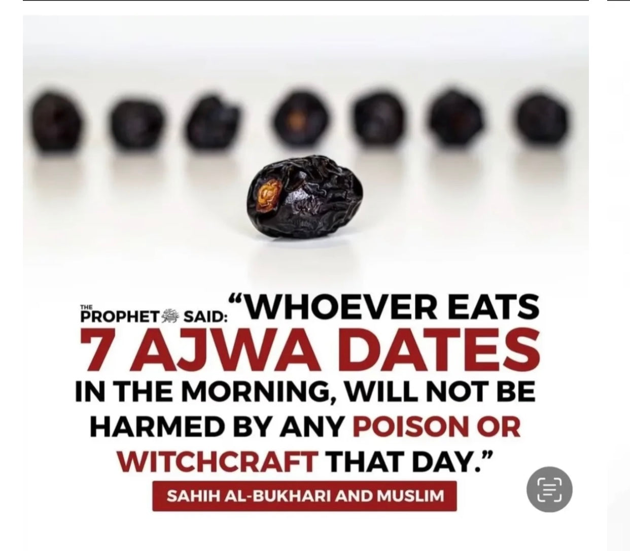 Ajwa dates (khajoor) 1kg