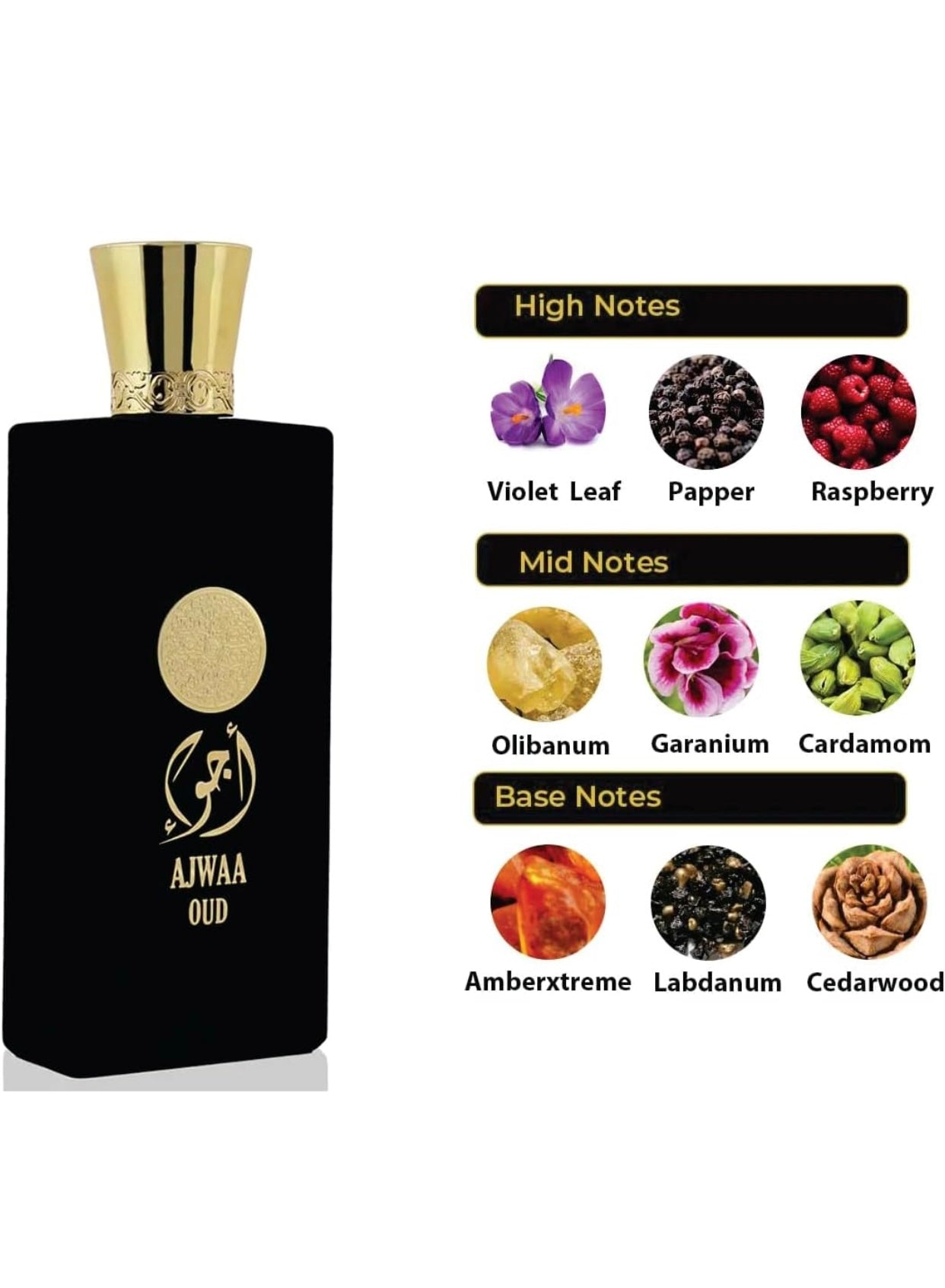 Oud Perfume | Ajwa Oud Edp Unisex Eau de Parfum 100ml | Floral,Oud and Cedarwood Fragrance